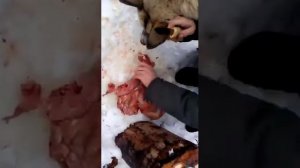 Якутский нож,разделка туши