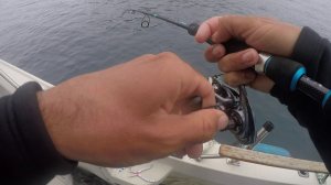 Как HIGASHI Team с Андреем Старковым на пилькера ловили