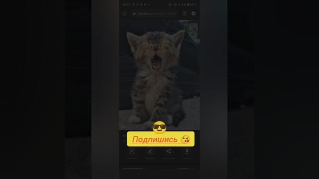 #рутуб #я#топ?