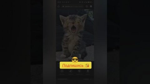 #рутуб #я#топ?