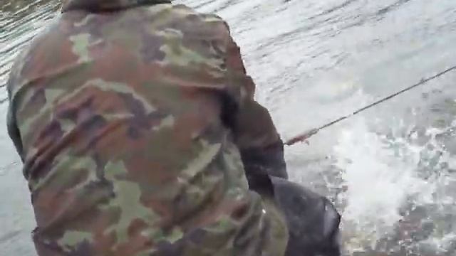 Рыбалка на речного чира.