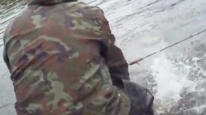 Рыбалка на речного чира.