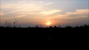 ТАК СТАНОВЯТСЯ ПОДКАБЛУЧНИКАМИ | МУЖЧИНЫ-ПОДКАБЛУЧНИКИ | МУЖСКОЙ КАНАЛ Трэш Labs