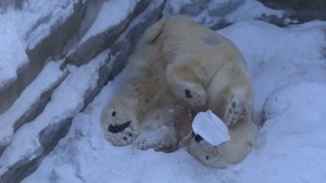 Кай улыбается и кувыркается. 27.02.2016