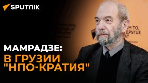 Грузии закон об "иноагентах" нужен давно, тут уже много лет "НПО-кратия" - политолог