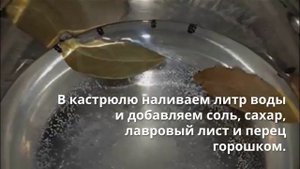 Маслята маринованные на зиму. Маринованные грибы на зиму.