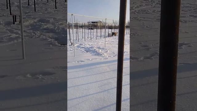 Строим теплицу (балаган) смотреть онлайн