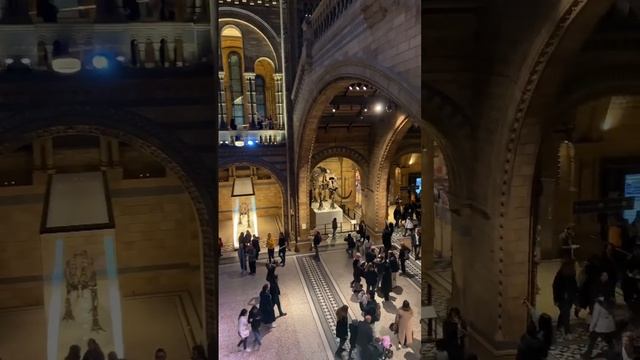 National History Museum, London