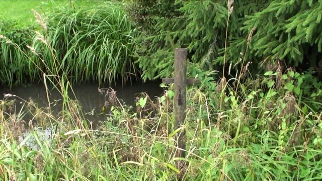 1ч. Бюджетный, без пленки пруд своими руками. смотреть онлайн