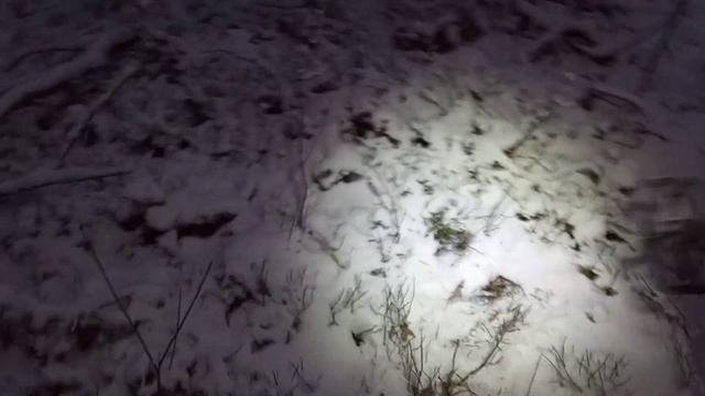 Первый коп металла с Quest X5. Металлоискатель вроде не плохой.