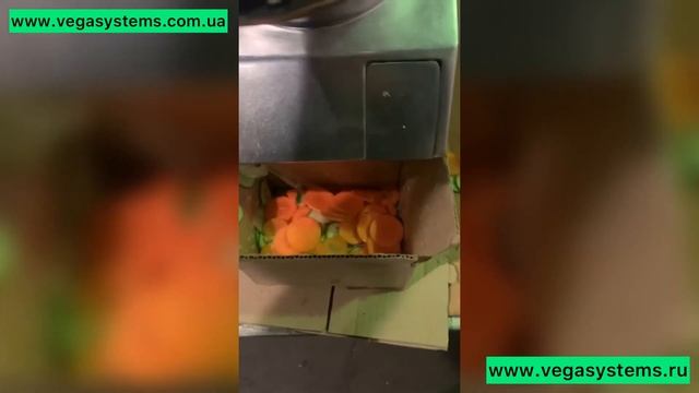 Нарезка кубиками картофеля, шинковка слайсом овощей овощерезка Vega Small Cutter 50 смотреть онлайн