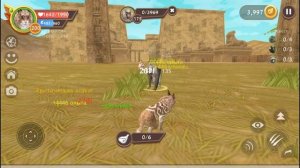 Побеждаем босса АНУБИСА на карте ДРЕВНЕГО ЕГИПТА в WildCraft