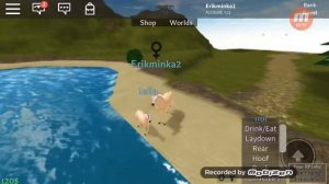 Симулятор лошадей в роблоксе