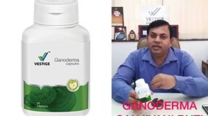 vestige ganoderma capsules benefits #sandeepdirectseller#detox& rejuvenation#vestigebusiness