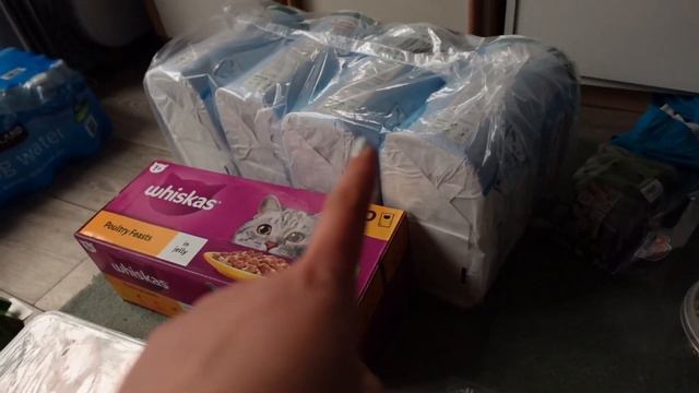 #adayinmylife Haul Costco / Curatenie in masina / Ce mănânc și vorbim despre IF