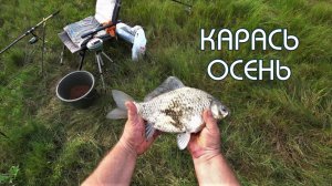 Карась. Ловля карася на пенотесто.