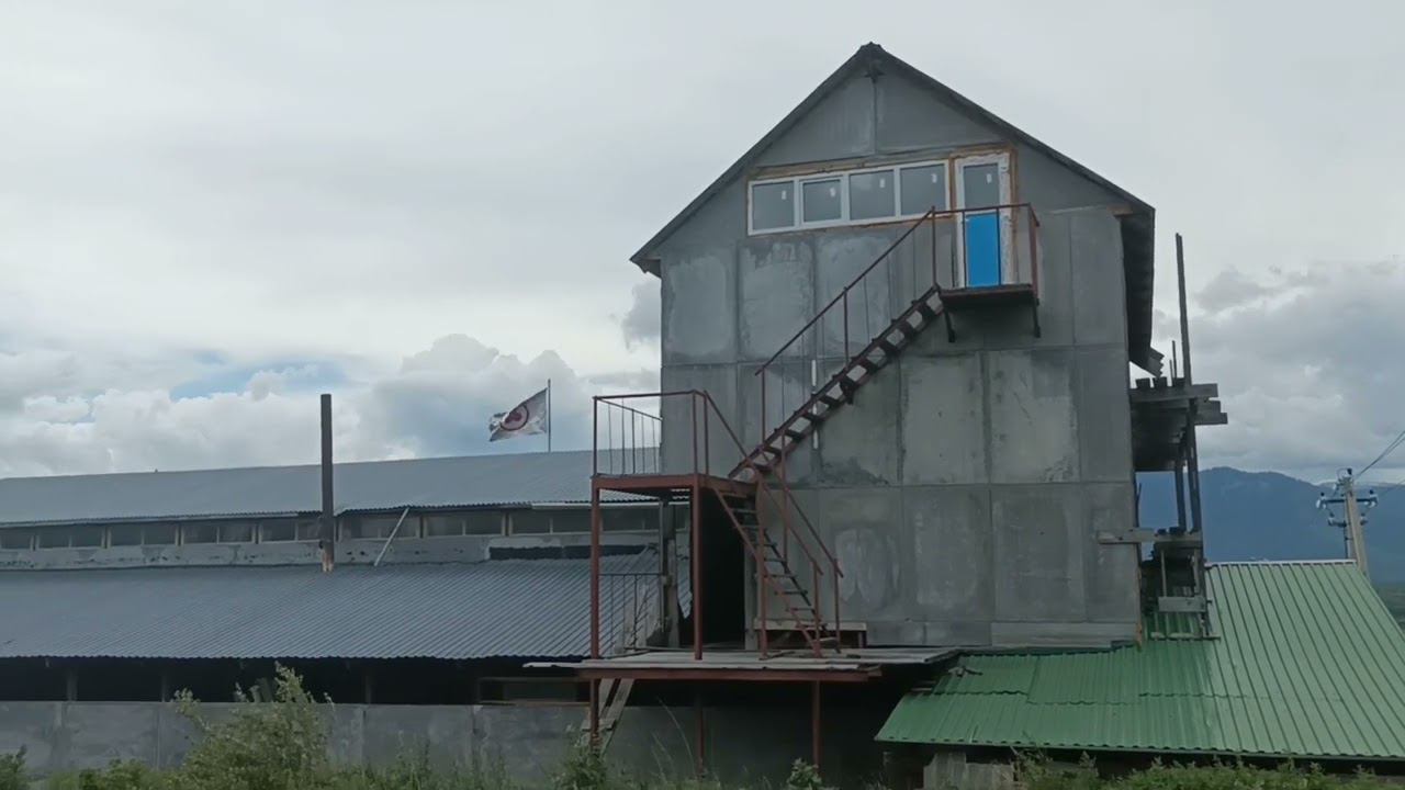 Народная библиотека на Алтае имени Е. И. Рерих