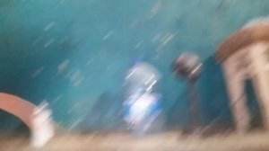 Ремонт днища авто без сварки