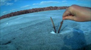 Ловля леща на чертик