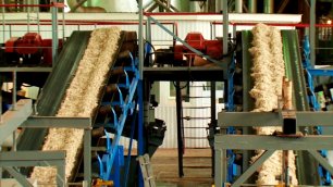 Университет Лобачевского участвует в модернизации Сергачского сахарного завода
