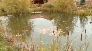 Искусственный водоем  Ландшафтные хитрости  Выпуск 125