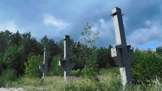 "ЛЕС ЖАРЫ" в Кузьминках.