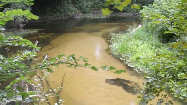 Воскресный день на Боровой смотреть онлайн