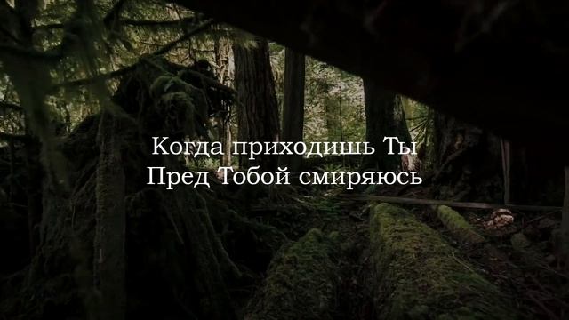 О Дух Святой, приди наполни нас | Христианские песни