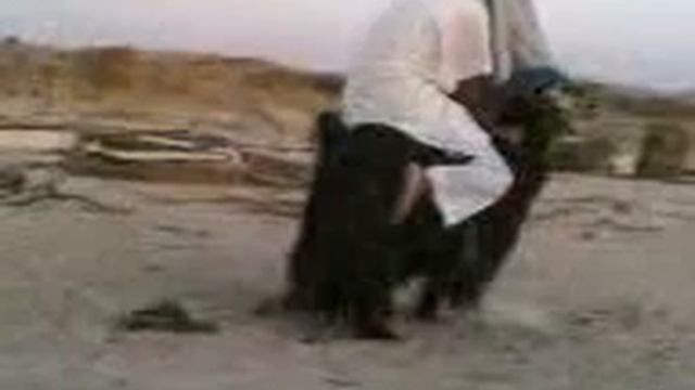 İTLƏR KEFDƏ смотреть онлайн