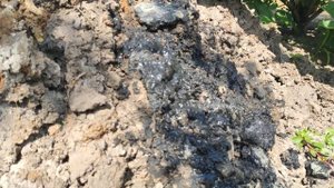 Септик – горький осадок, пытаюсь вычистить дно