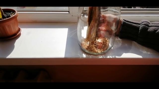 СКУМБРИЯ КОПЧЕНАЯ! ДОМА И В БАНКЕ!