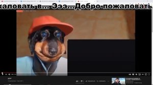 Давг: Смотрит мемы, Звонит Мэддисону, Рассказывает сон