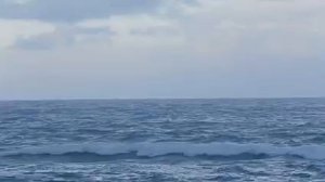 Звуки моря.  Sounds of the sea.