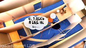 ОГРОМНЫЙ лабиринт для котов и собак! ЧЕЛЛЕНДЖ собаки против котов кто окажется умнее и найдет выход