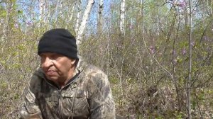 Мелкашка , по крупному зверю На что она  способна в руках профессионала