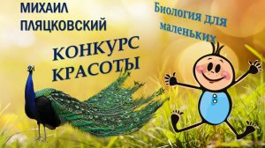 М.ПЛЯЦКОВСКИЙ-КОНКУРС КРАСОТЫ