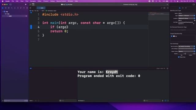 Handling Command Line Arguments in C Programming Language