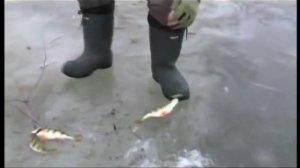 Зимняя рыбалка в Астрахани - Дельта Волги.