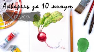 Рисуем редис акварелью за 10 минут. Быстрые зарисовки. Акварель для новичков