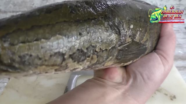 Змееголов по-Узбекски, вкусный соус к рыбе. Блендер Oberhof Wirbel Е42. Рецепт от Fisherman DV 27Ru смотреть онлайн