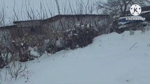 Жизнь в селе#Казахстан#Удобряем огород.Жеребенок ощипывает голубей.