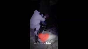 Мегафон ??? Некит и Петрашка шип, сори что короткое? (с тик-тока)