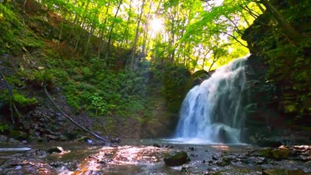 Relaxing Music For Stress Relief, Anxiety And Depressive States • Heal Mind, Body And Soul