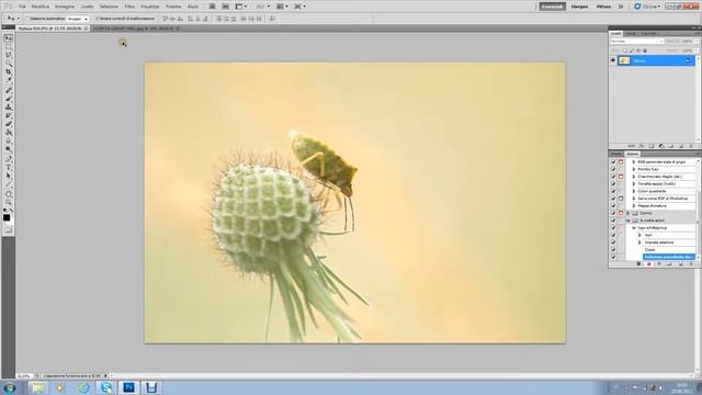 Schitta Photo Club - Come creare una Azione in Photoshop смотреть онлайн