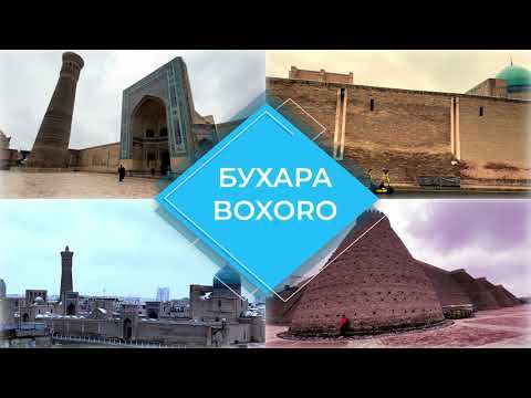 Узбекистан-2024: тепличный сад BUHARA VARNET в Бухаре #uzbekistan #узбекистан #boxoro #бухара