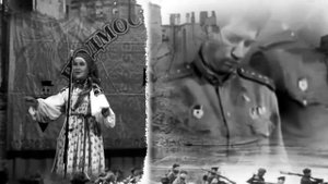 Я любила сокола