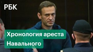 Дело Навального: реальный срок для оппозиционера, акции протеста и фильм о дворце в Геленджике