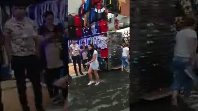 Садовод вчера