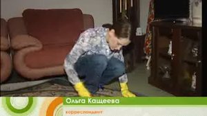 Экспертиза средств для чистки ковров