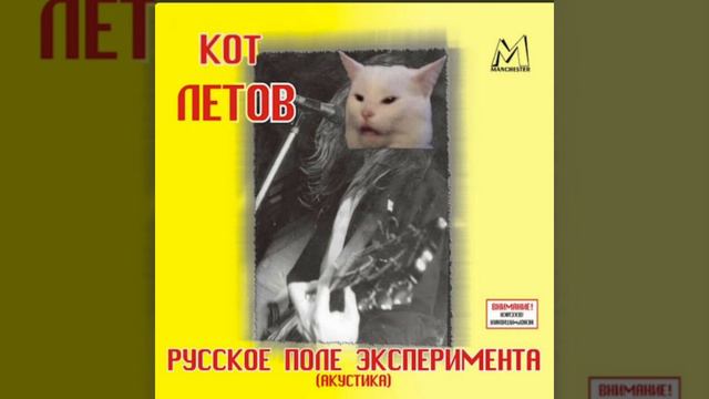 Егор Летов - всё идёт по плану (кот ремикс)